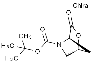 (1R,4R)-3-氧-2-氧杂-5-氮杂双环[2.2.1]庚烷-5-羧酸叔丁酯