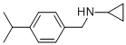 N-(4-ISOPROPYLBENZYL)CYCLOPROPANAMINE