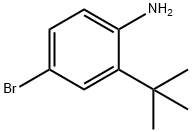 4-溴-2-叔丁基苯胺