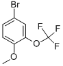4-溴-2-三氟甲氧基茴香醚