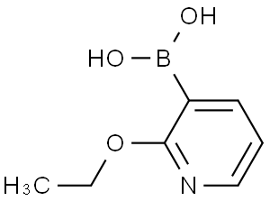 2-乙氧基吡啶-3-硼酸