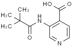 3-新戊酰胺异烟酸