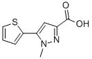 1-METHYL-5-THIEN-2-YL-1H-PYRAZOLE-3-CARBOXYLIC ACID