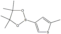 4,4,5,5-四甲基-2-(5-甲基噻吩-3-基)-1,3,2-二氧杂硼杂环戊烷