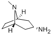 3-ENDO-氨基托烷, ENDO-8-甲基-8-氮杂双环[3.2.1]辛-3-胺