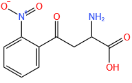 (2S)-2-amino-4-(2-nitrophenyl)-4-oxobutanoic acid