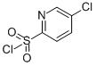 5-CHLORO-PYRIDINE-2-SULFONYL CHLORIDE