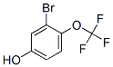 3-溴-4-(三氟甲氧基)苯酚