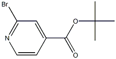 tert-butyl 2-bromoisonicotinate