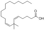 7,7-DIMETHYLEICOSADIENOIC ACID