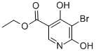 Ethyl 5-bromo-4,6-dihydroxynicotinate