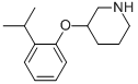 3-(2-异丙基苯氧基)哌啶