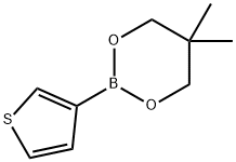 3-噻吩硼酸新戊二醇酯