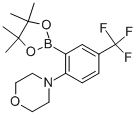 2-Morpholin-4-yl-5-(trifluoromethyl)benzeneboronic acid, pinacol ester