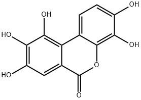 3,4,8,9,10-Pentahydroxy Urolithin