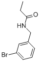 CHEMBRDG-BB 9070652