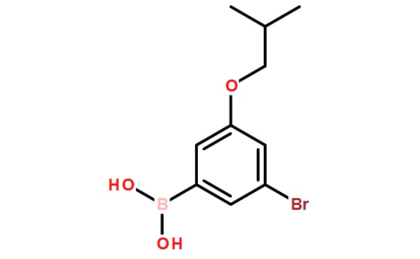 3-Bromo-5-isobutoxyphenylboronic acid