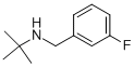 N-(3-氟苄基)-2-甲基-2-丙胺