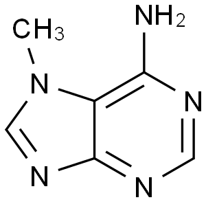 7-Methyladenine