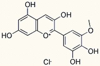 氯化矮牵牛色素