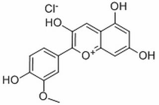 3,4′,5,7-四羟基-3′-甲氧基-2-苯基苯并喃氯化物