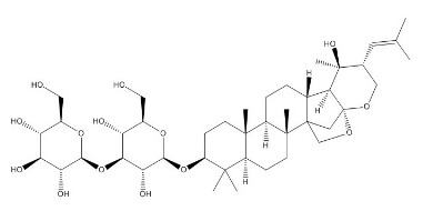 假马齿苋皂苷N2