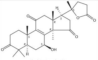 Ganolactone A