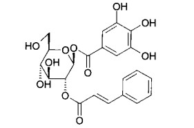 2-O-桂皮酰基没食子酰葡萄糖