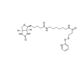 N-(6-[生物素胺]己基)-3'-(2'-吡啶二硫)丙酰胺