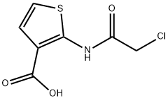 2-(2-CHLOROACETAMIDO)THIOPHENE-3-CARBOXYLIC ACID