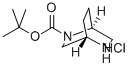 (1S,4S)-2-BOC-2,5-DIAZABICYCLO[2.2.2]OCTANE HYDROCHLORIDE