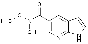 1H-PYRROLO[2,3-B]PYRIDINE-5-CARBOXYLICACIDMETHOXY-METHYL-AMIDE