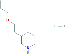 2-(3-Piperidinyl)ethyl propyl ether hydrochloride