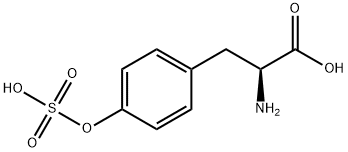 tyrosine O-sulfate