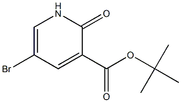 5-bromo-1,2-dihydro-2-oxo-3-pyridinecarboxylic acid, t-butyl ester