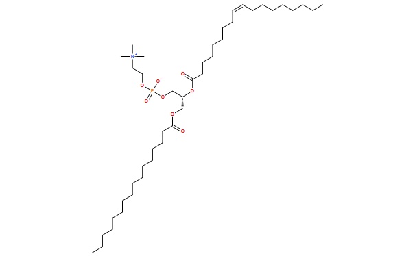 EGG PHOSPHATIDE