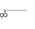 N-(10-Aminodecyl)-5-chloro-1-naphthalenesulfonamide Hydrochloride