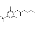 N-(2-Aminoethyl)-2-[4-(1,1-dimethylethyl)-2,6-dimethylphenyl]acetamide