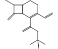 5-Thia-1-azabicyclo[4.2.0]oct-2-ene-2-carboxylic acid, 7-amino-3-ethenyl-8-oxo-, 1,1-dimethylethyl ester, (6R-trans)- (9CI)