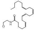 Arachidonyl-2-chloroethylamide