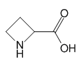 AZETIDINE-2-CARBOXYLIC ACID