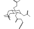 N-乙酰葡糖胺叠氮基,乙酰