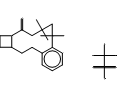 N-Boc-2-trimethylammonium-A 85380 Triflate