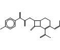 (2S,3'Z)-Cefprozil