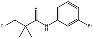 N-(3-BROMOPHENYL)-3-CHLORO-2,2-DIMETHYLPROPANAMIDE