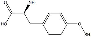 O-mercapto-L-tyrosine