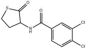 3,4-dichloro-N-(2-oxothiolan-3-yl)benzamide