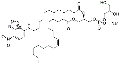 N-(NBD-aminododecanoyl)-L-α-phosphatidyl-DL-glycerol,  α-oleoyl  sodium  salt