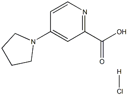 4-PYRROLIDIN-1-YLPYRIDINE-2-CARBOXYLIC ACID HYDROCHLORIDE