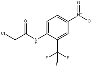 2-CHLORO-N-(4-NITRO-2-TRIFLUOROMETHYL-PHENYL)-ACETAMIDE